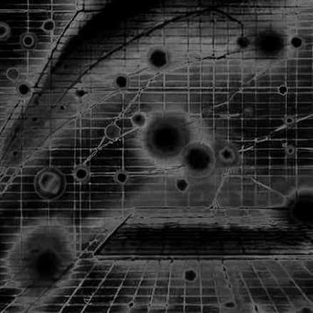 Google’s $10M Data Heist: The Fracture That Will Tokenize Everything