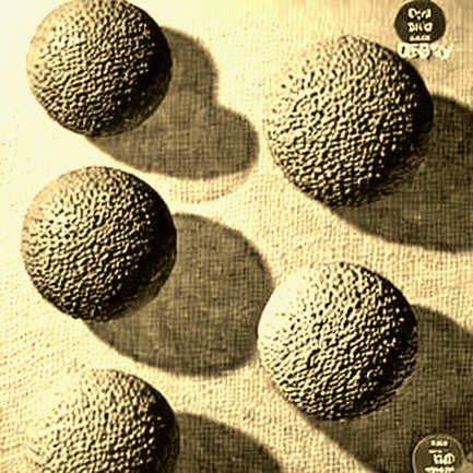 Bybit's Pre-IPO Perpetuals: Pricing a Ghost in a Machine Without a Market