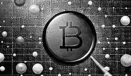 The Empty Ledger: When Information Asymmetry Becomes the Only Risk Factor