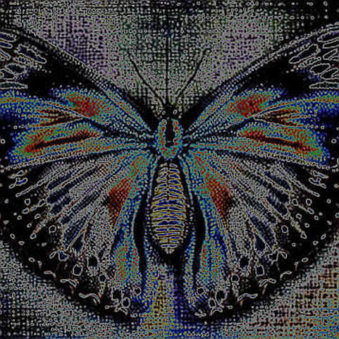 When the Data is Silent: The Hidden Risks of Incomplete Blockchain Analysis
