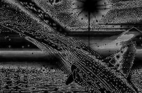 The Structural Silence: When Crypto Analysis Meets the Void of Missing Data