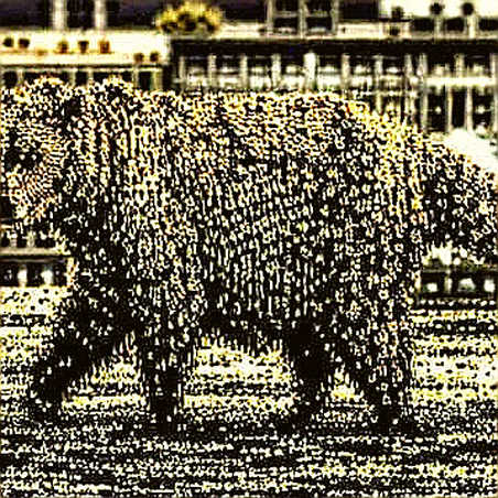 The Reticent Ledger: On-Chain FX and the Art of the Unasked Question